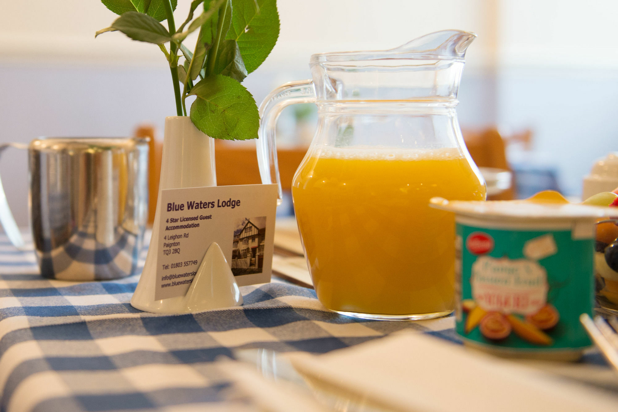 Blue Waters Lodge Paignton Zewnętrze zdjęcie